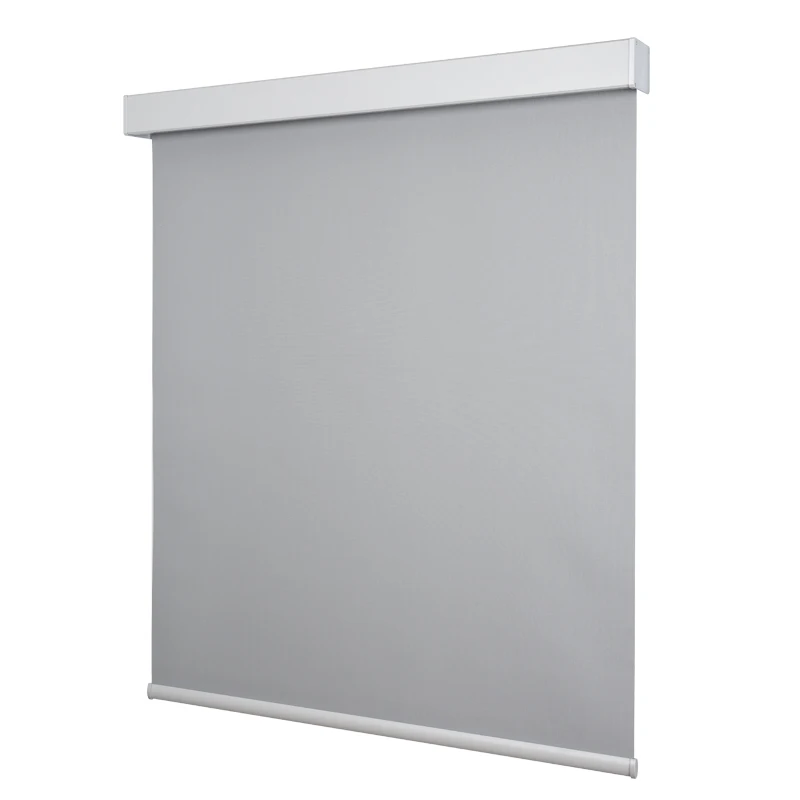 Motorized Blinds with Remote Blackout Smart Blinds Work with Alexa Google Automatic Roller Shades for Windows Custom Sizes