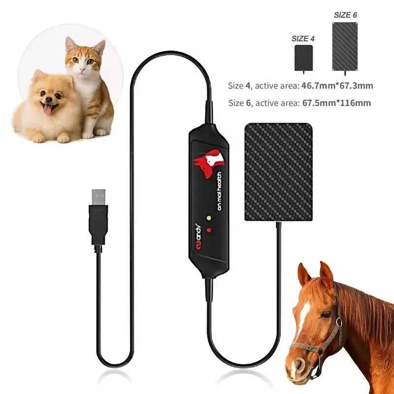 Vet Handy Adjustable High Resolution Dental X Ray Sensor Plate 4# 6# Veterinary Equipment For Dogs And Cats