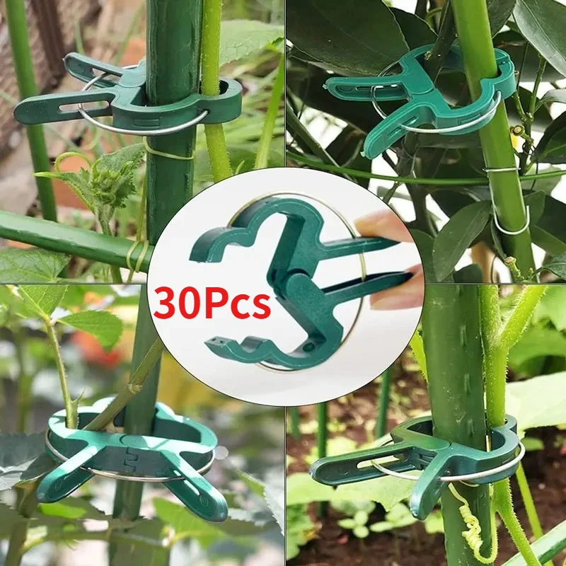 15/30Pcs Reusable Plant Fixed Clips, Greenhouse Vine Support Bracket for Flower, Vegetable & Tomato Stem Fixing Garden Tools