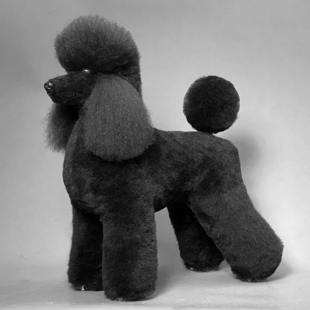 Pet Simulation Hair Beauty Practicing Dog Standard Poodle Full Body Skeleton Model Grooming Black Teaching Safe Polyester