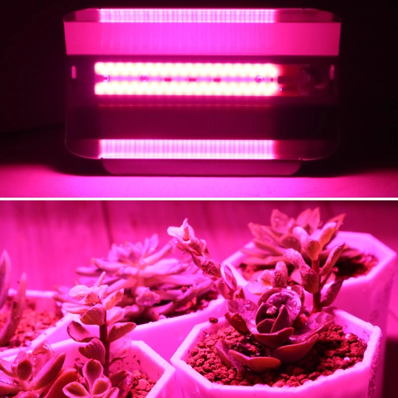 Luz LED de cultivo para plantas de interior, reflector de crecimiento de espectro completo, 30W, 50W, 80W, CA 110V, 220V, luz Cob para invernadero