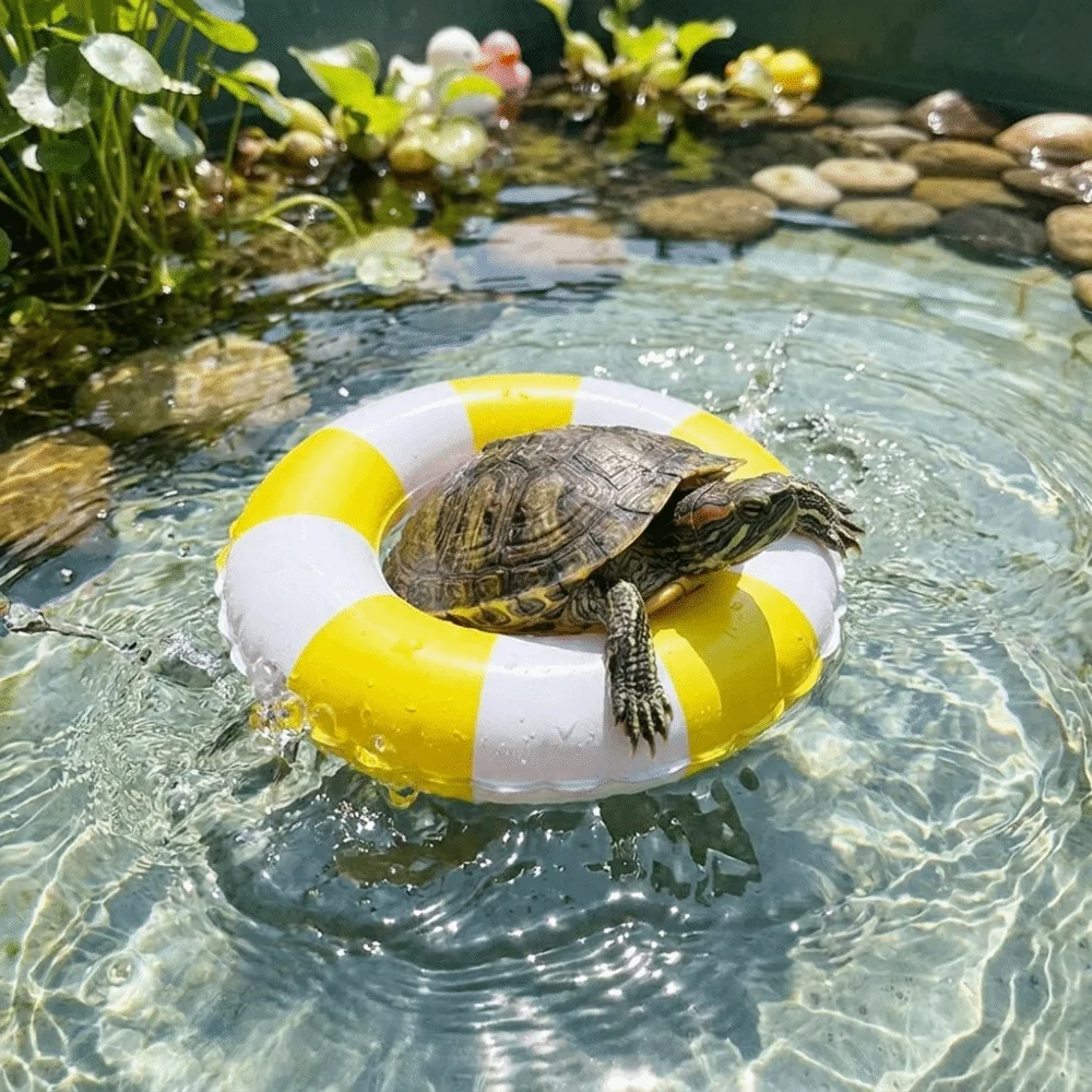 Accessories Mini Swimming Pool Float Ring Floating Inflatable Inflatable Fun Bath Summer Fun