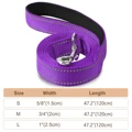 purple leash