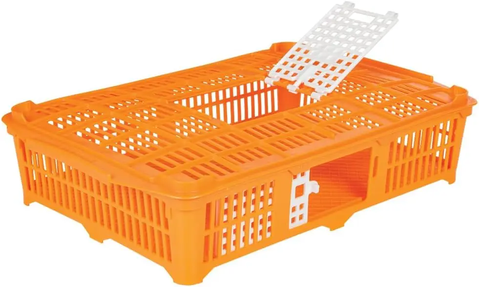 Quail Transport, Plastic Crate, No Color Mentioned, Standard Size for Single Use