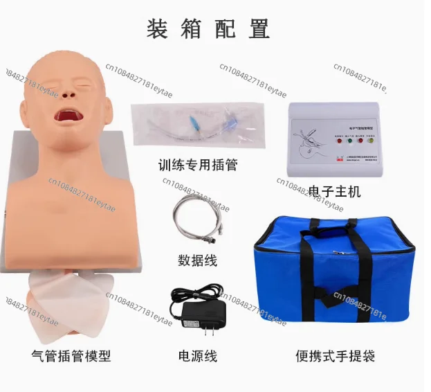 Intubation human body model learning teaching model airway management training device PVC alarm simulator with teeth