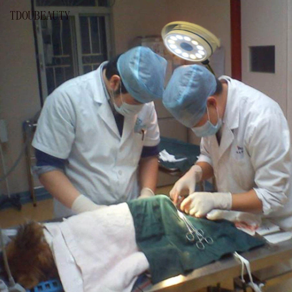 36W LED Mobile Veterinary Instrument for Surgical Beauty Clinic Hospital Dental Lamp Examination Light for Veterinary Clinics