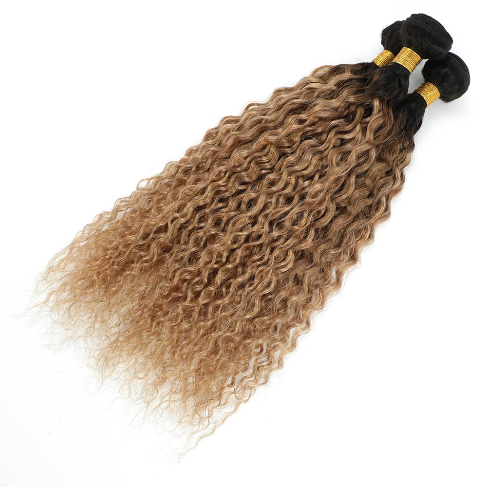Water Wave Bundles with Closure, Honey Blonde Brazilian Human Hair, 1B/27 Curly