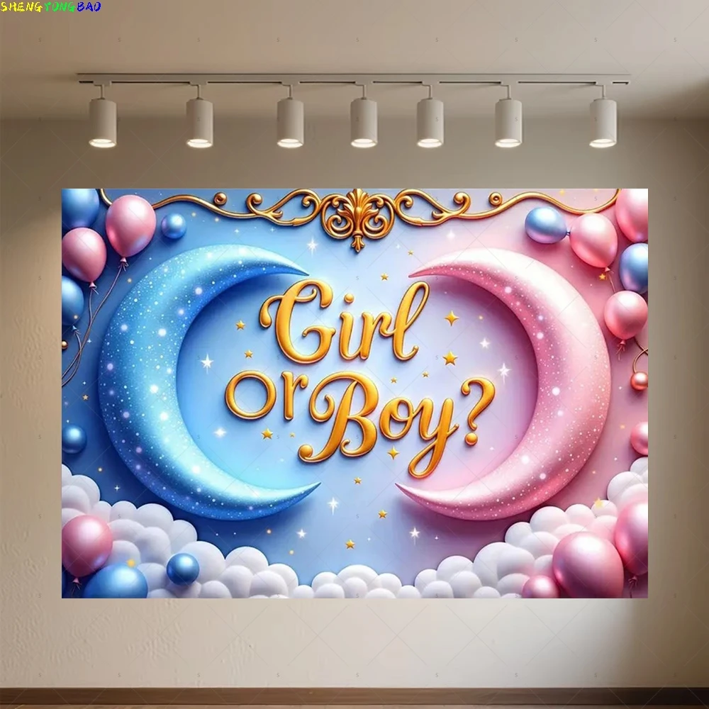 Gender Party Photography Background Supplies Blue Pink Balloon Backdrop Newborn Baby Shower Photo Backdrops LR-01