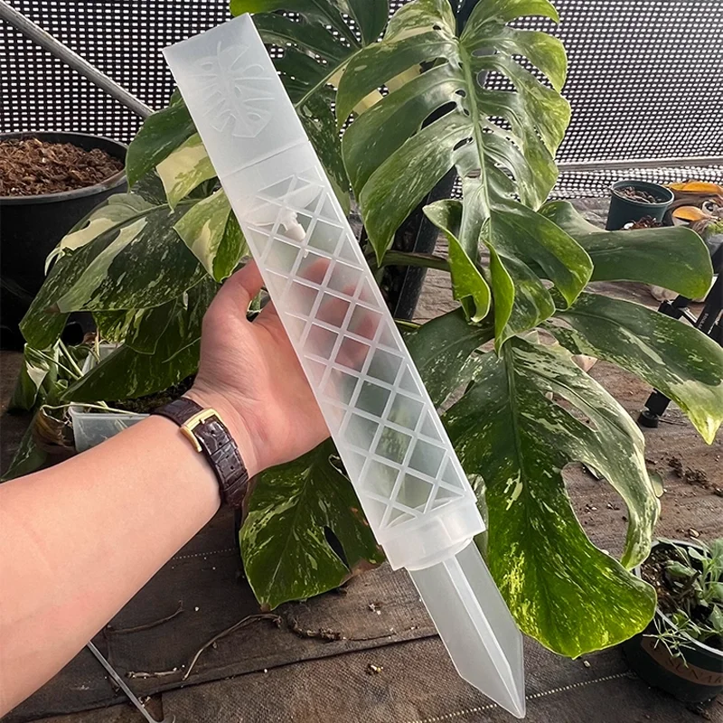 Plantas de escalada vara planta pólo esfagnum planta suporte treliça quadro água musgo coluna pólo para vasos flor videiras escalada
