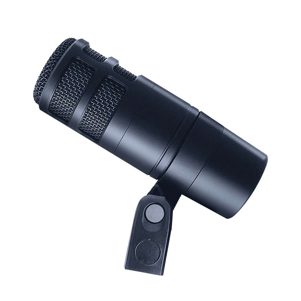 AT2040 High-Performance Dynamic Microphone for Studio, Radio Recording, Dubbing, Live Karaoke and Voice Over Applications