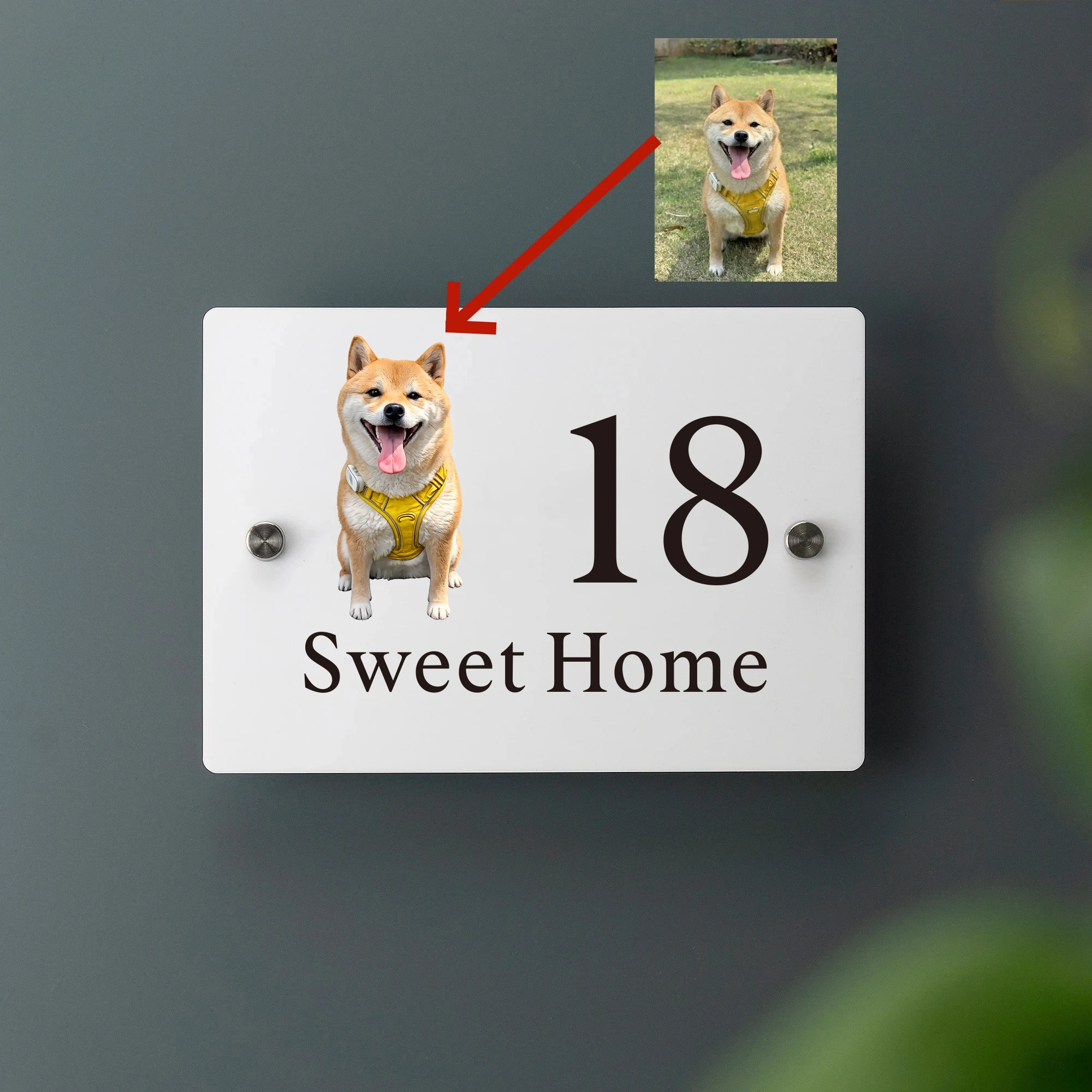 Personalized Acrylic House Number Sign Custom Door Sign UV Printed Address Plaque with Your Pet Photo Family Name Outdoor Plate