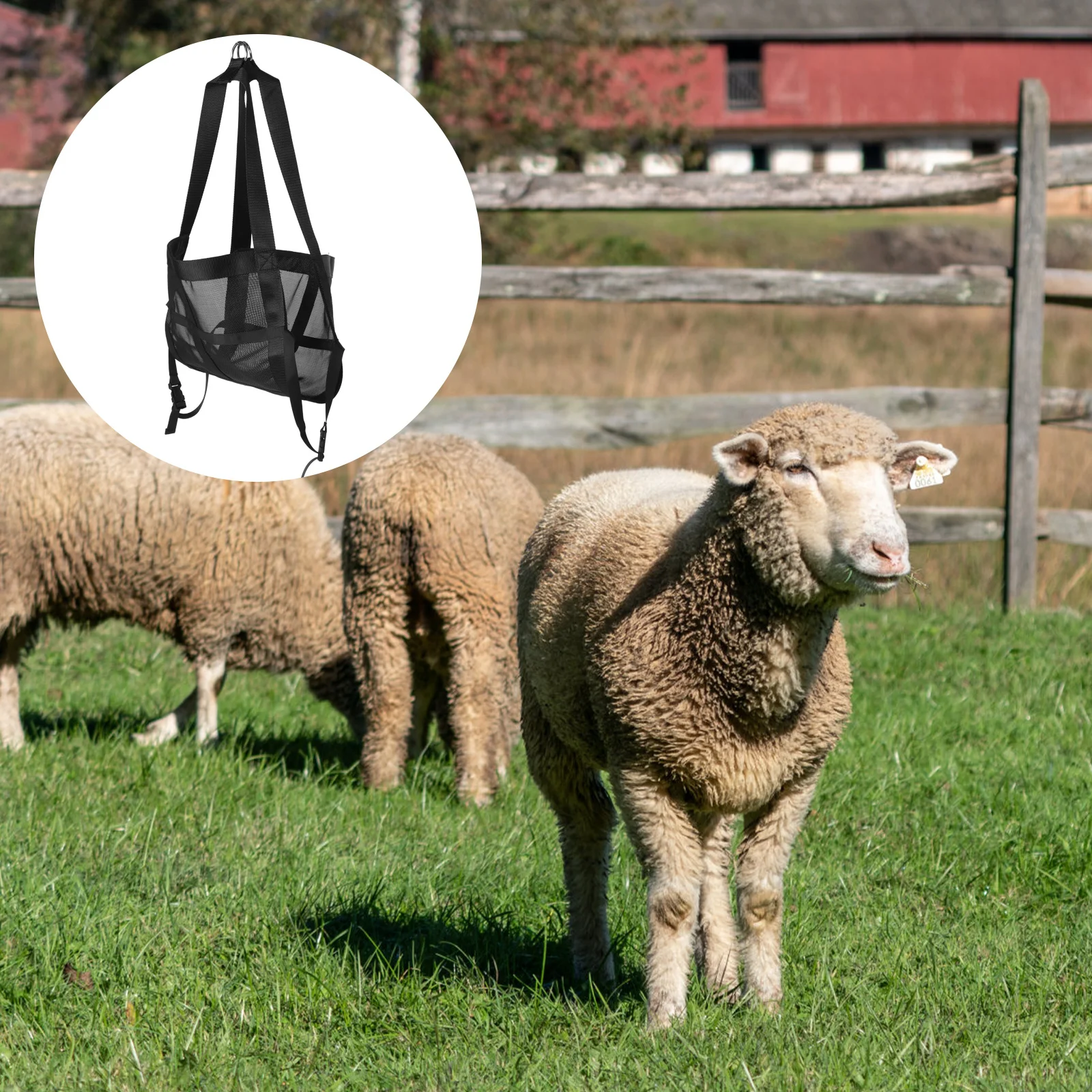 

Pet Weigh Sling Breathable Mesh Durable Nylon for Small Animal Weighing Puppy Dog Calf Goat Livestock Hammock Sling Supply