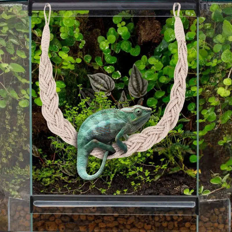은둔자 게 등반 황마 로프 사다리, 파충류 탱크, 테라리움 액세서리, 은둔자 게 장난감, 등반 황마 로프 사다리