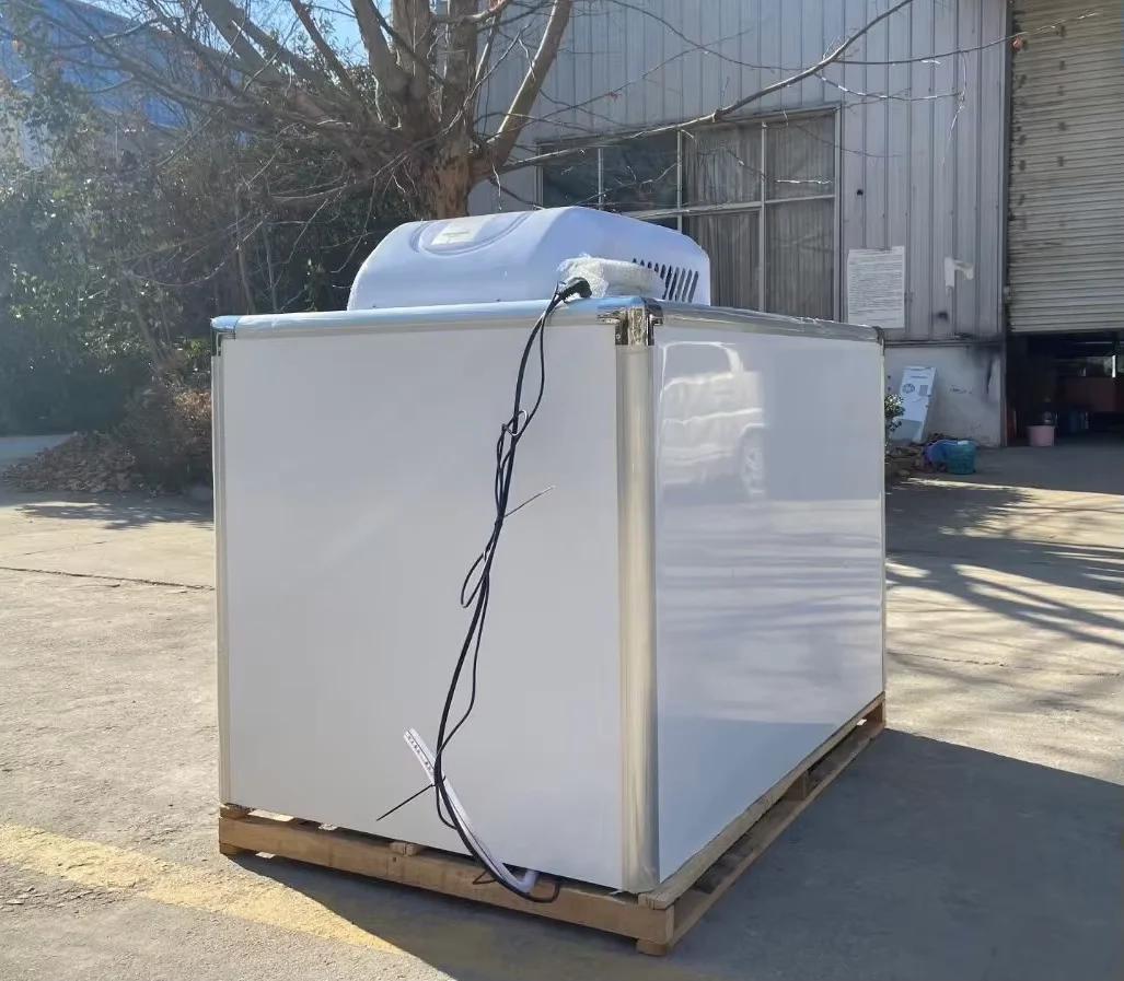 Solar Powered Refrigerated Freezer Container with Motor & Gear for Eco-Friendly Cold Chain Delivery and Food Storage