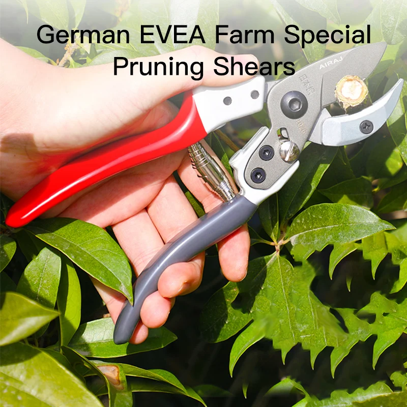 AIRAJ Scissors Pruning Trees Professional Garden Scissors Bonsai Bypass Pruning Shears Loppers Trim Fruit Tree Flower Shears