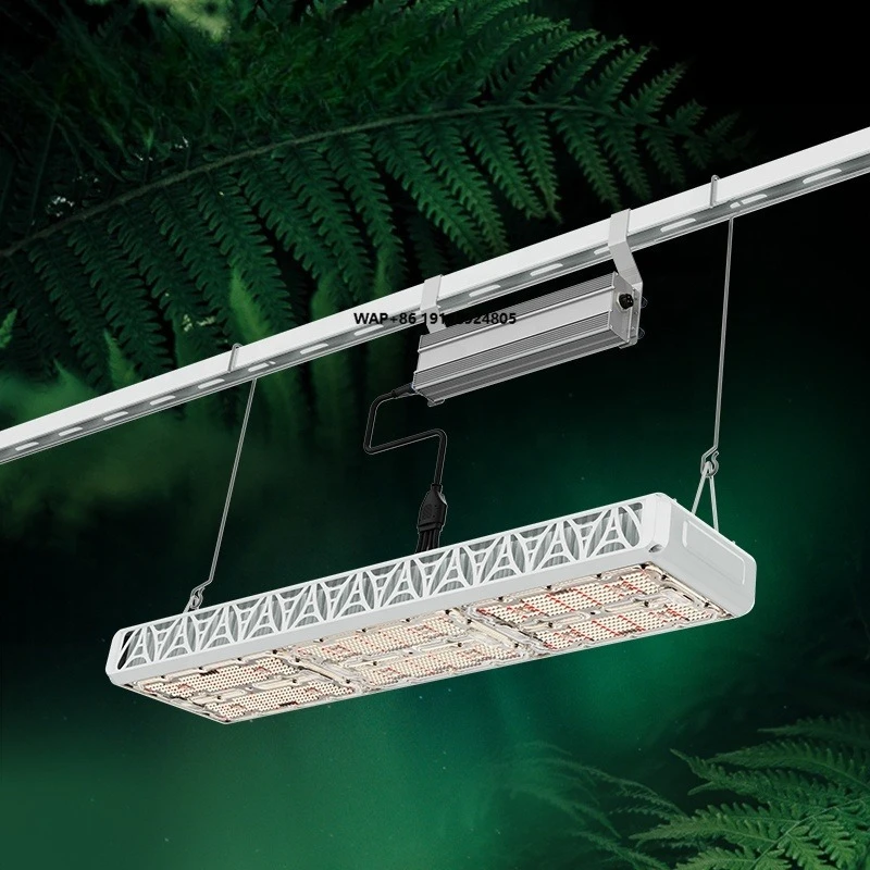 

Светодиодные фитолампы 600W/1000W полного спектра, диммируемые, простые в установке, с 5-летней гарантией, для быстрого охлаждения листьев и цветов