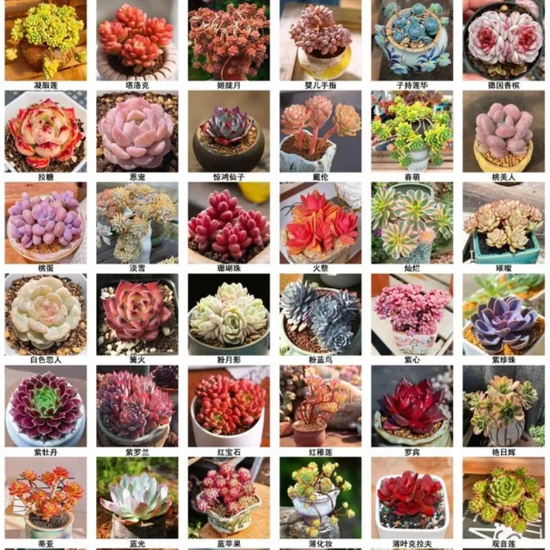 

4 шт. металлические диски для радиоуправляемых краулеров 1,9 дюйма с бедлоком для 1/10 Axial SCX10 90046 TAMIYA CC01 D90 D110 TF2 Trxs TRX-4 S119