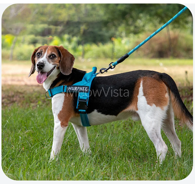 Personalized No Pull Dog Harness with Name Patch Escape-Proof Adjustable Reflective Soft Padded Dog Vest for Training Walking