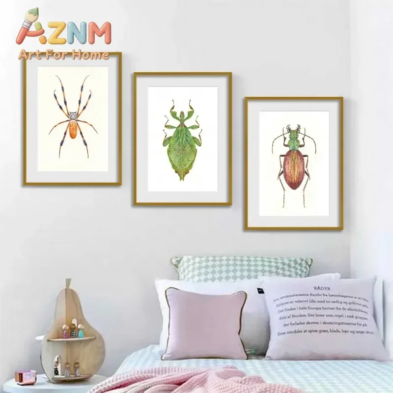 Insect Beetle Collection Retro Poster Spider Fly Canvas Painting and Prints Wall Art Picture for Living Room Home Decoration