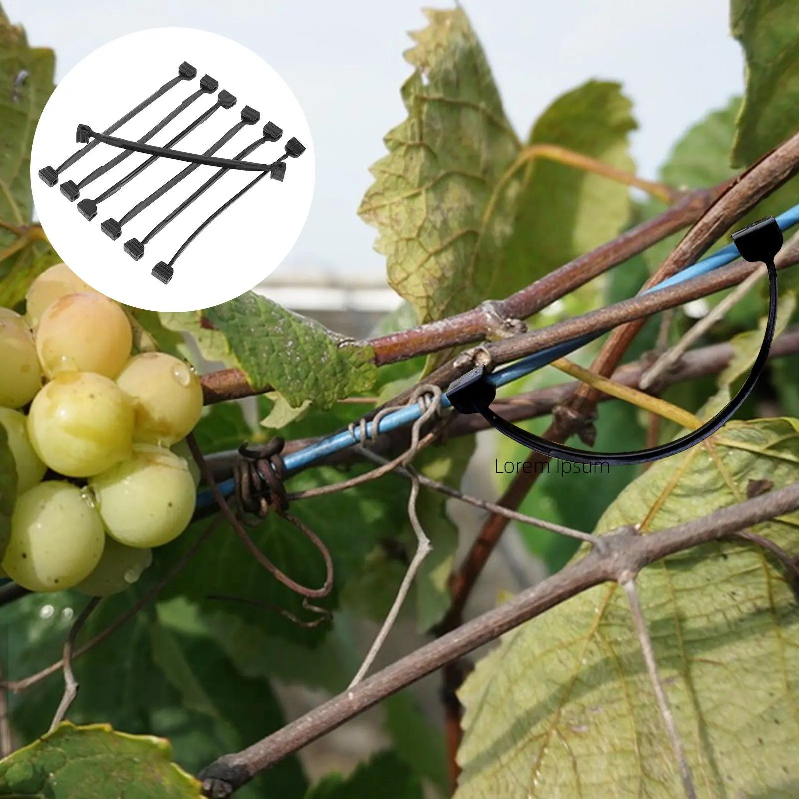 

1 упаковка прочных многоразовых садовых зажимов для фиксации растений, для поддержки стеблей, формирования лозы и крепления на шпалеры