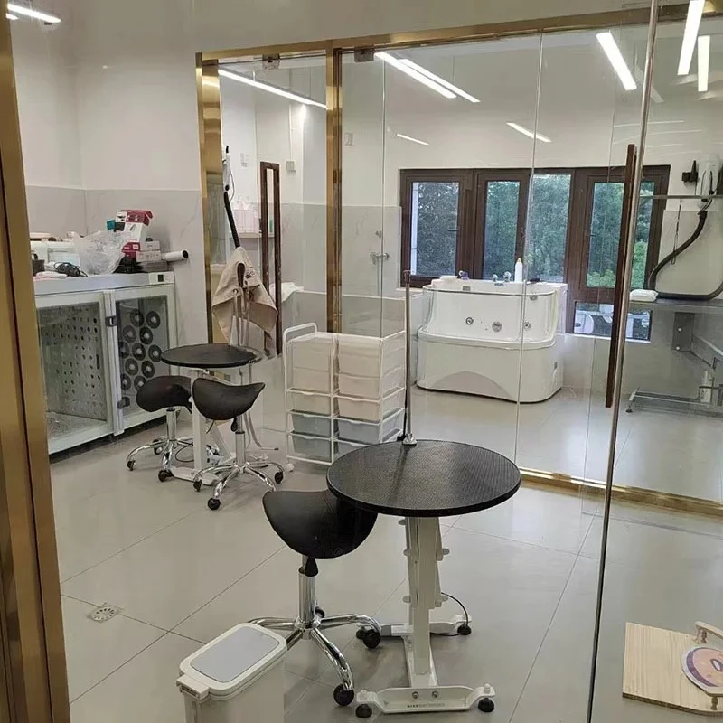 Pet Dog Teddy Bichon Shape Hair Trimming Air Pressure Lifting Rotating Cosmetic Table Beauty Table