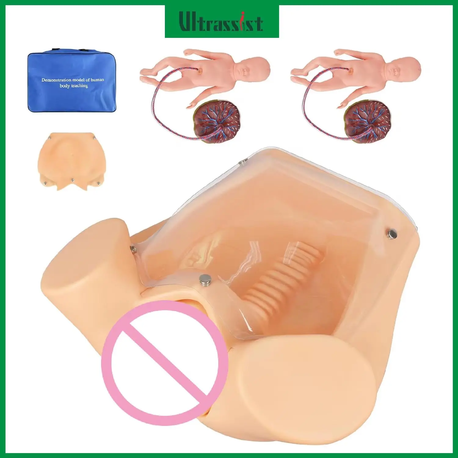 

Ideal Female Childbirth Model Obstetric Manikin Separable Baby Pelvis Umbilical Cord for Medical Student Labor Midwifery Train
