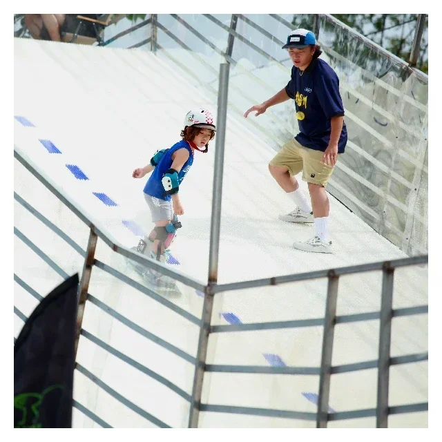 Summer Artificial Snow Sport Surface Dry Ski Slope