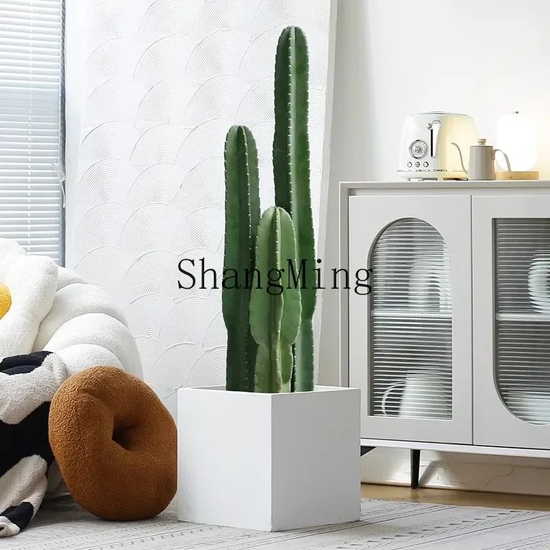 LXY cactus cactus succulent medium and large living room indoor potted plant