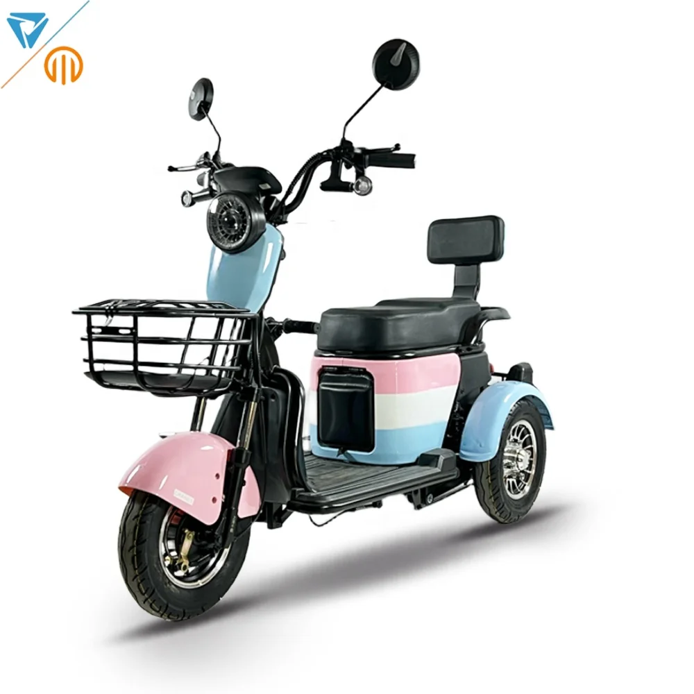 

New Arrival 1000W Electric Tricycle 3 Wheels 60V Long Range Motorcycle For Disabled