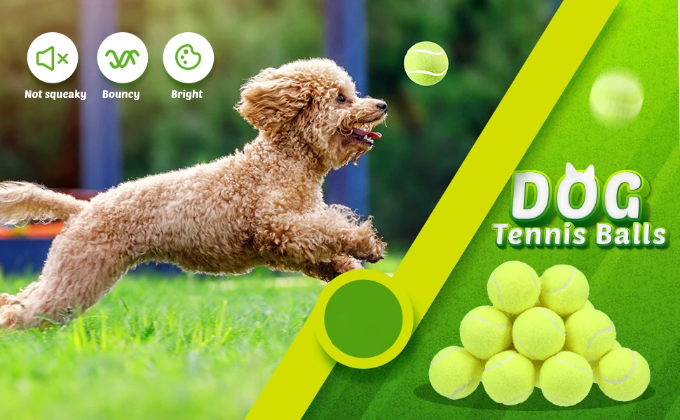 Tennisbälle für Hunde, 2-Zoll-Größe, kompatibel mit den meisten automatischen Ballwerfer, Ideen für kleine Hunde (12 Bälle nur) – Detail 1