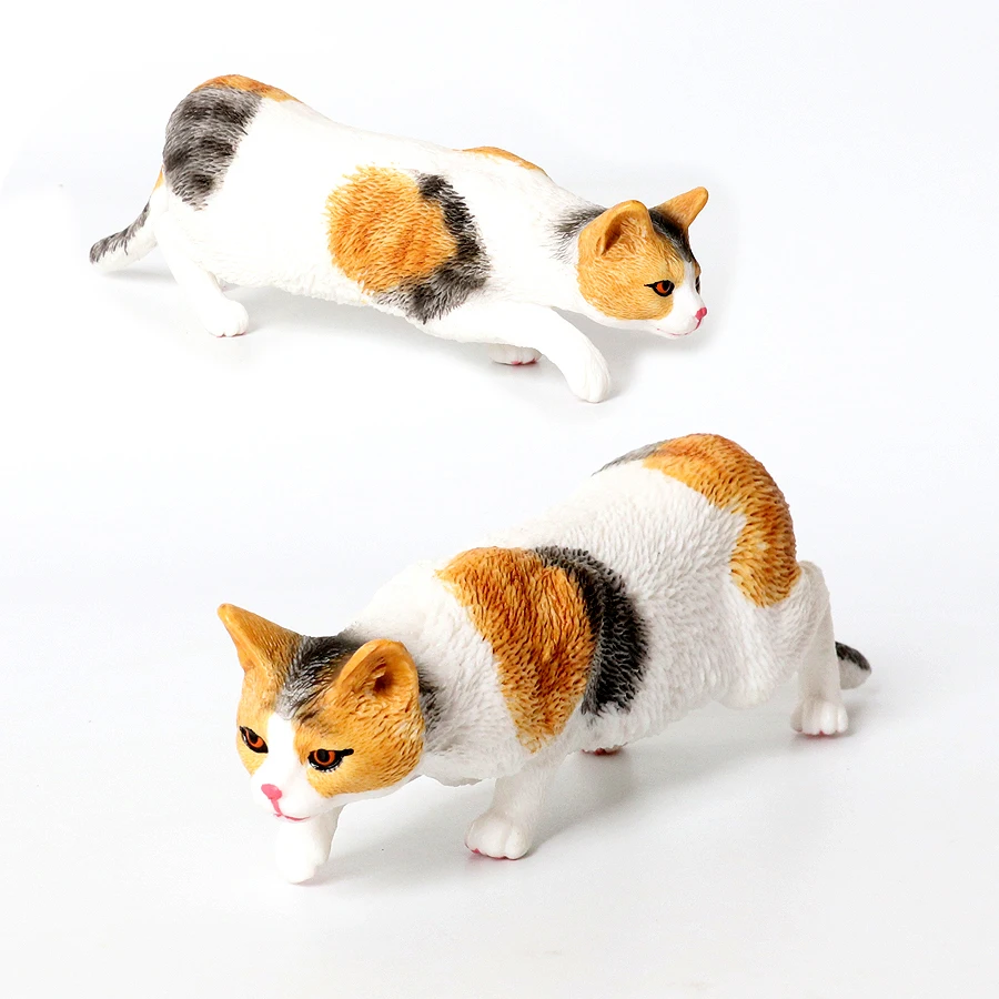 Realistico simpatico gattino pigro pastorale gatto Wirehair modello di gatto figure ornamento per la casa collezione creativa di decorazioni per il desktop giocattolo per bambini