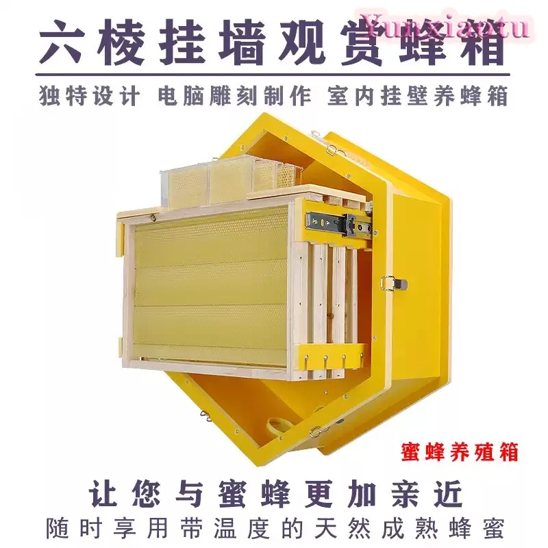 Baiduoqiancong Wall-mounted Beehive Indoor Beekeeping Observation Hive 2025 Limited Edition Beekeeping Equipment