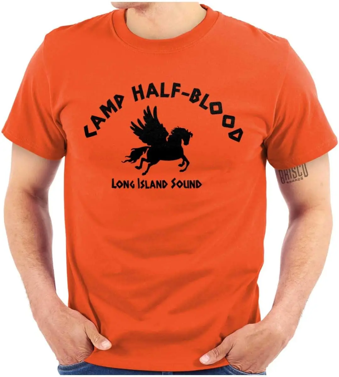 Brisco Brands Camp Half Blood Greek Mythology Graphic T Shirt Men or Women