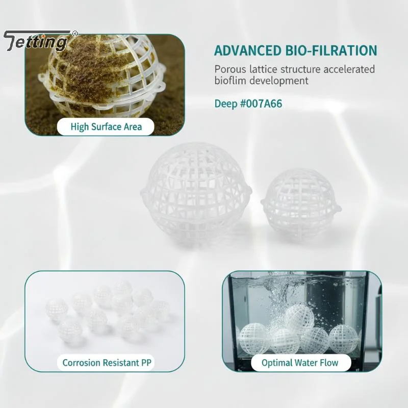 5Pcs Reusable Empty Porous Suspension Ball Plastic Diameter 80/100/150mm Hanging Planter Balls Transparent Hollowed