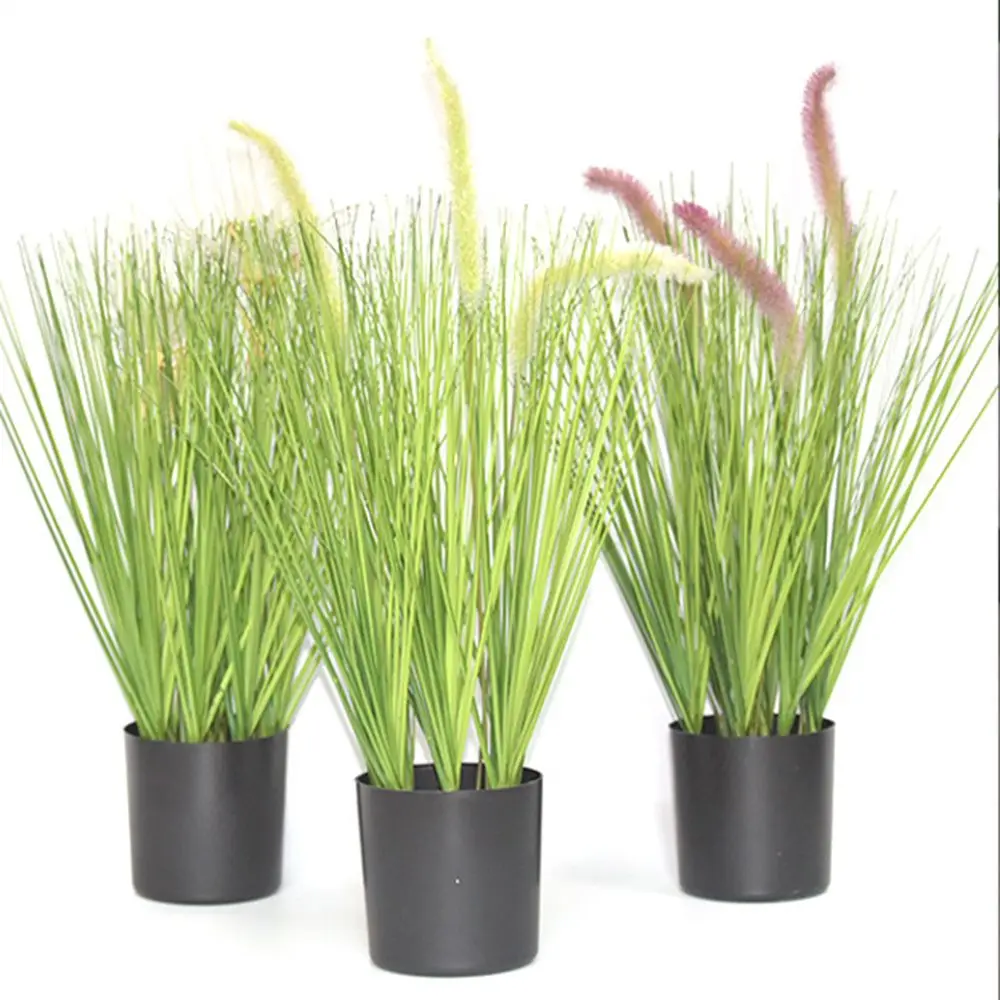 أواني الزهور البلاستيكية السوداء ، صندوق الغراس ، وعاء النبات ، حاوية النباتات ، ديكور المنزل والمكتب