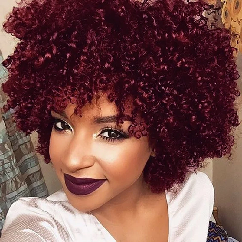 BeiSDWig  Afro Kinky Curly Black Wig Synthetic Curly Hair Wigs for Black Women Afro Wigs for African American Women Short