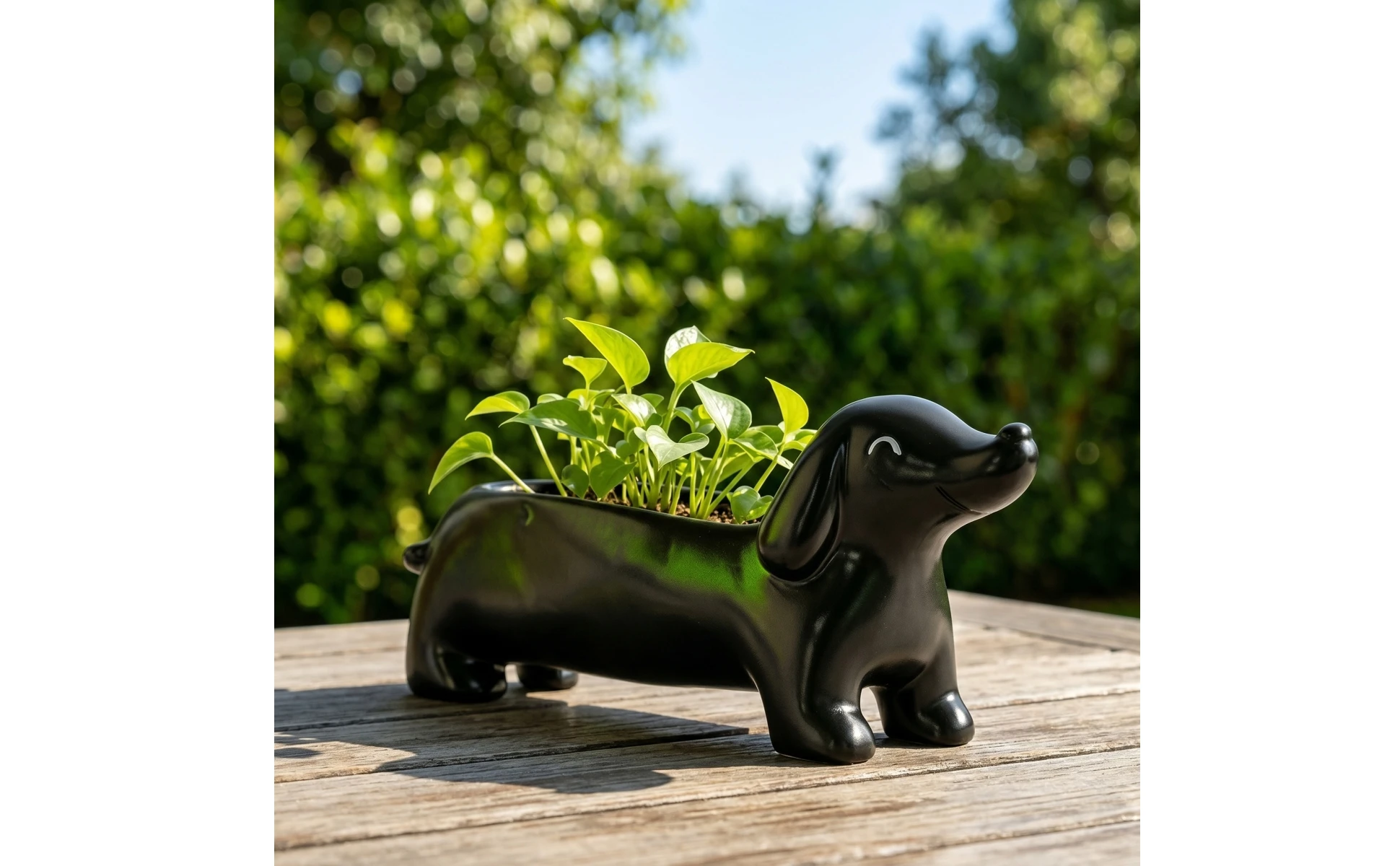 https://ae-pic-a1.aliexpress-media.com/kf/Sec4dbb50fcfa487fb1e027fe823d1dd8i.jpg Dachshund Planter Cute Dachshund Plant Pot Dog-Shaped Planter Decorative Whimsical for Desk, Shelf