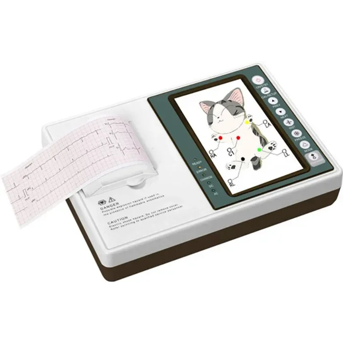 YSECG300V Ysenmed medical ECG EKG for vet Digital Pet Electrocardiograph 3 channel ECG machine animal ECG machine veterinary