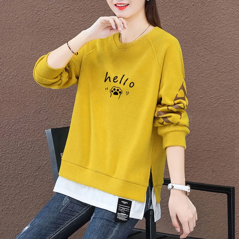 Felpa con cappuccio in due pezzi finto da donna 2024 Autunno Nuovo Thiened Fce Allentato Lungo Sve Tuta sportiva rotonda Ne Commute Sle Jaet