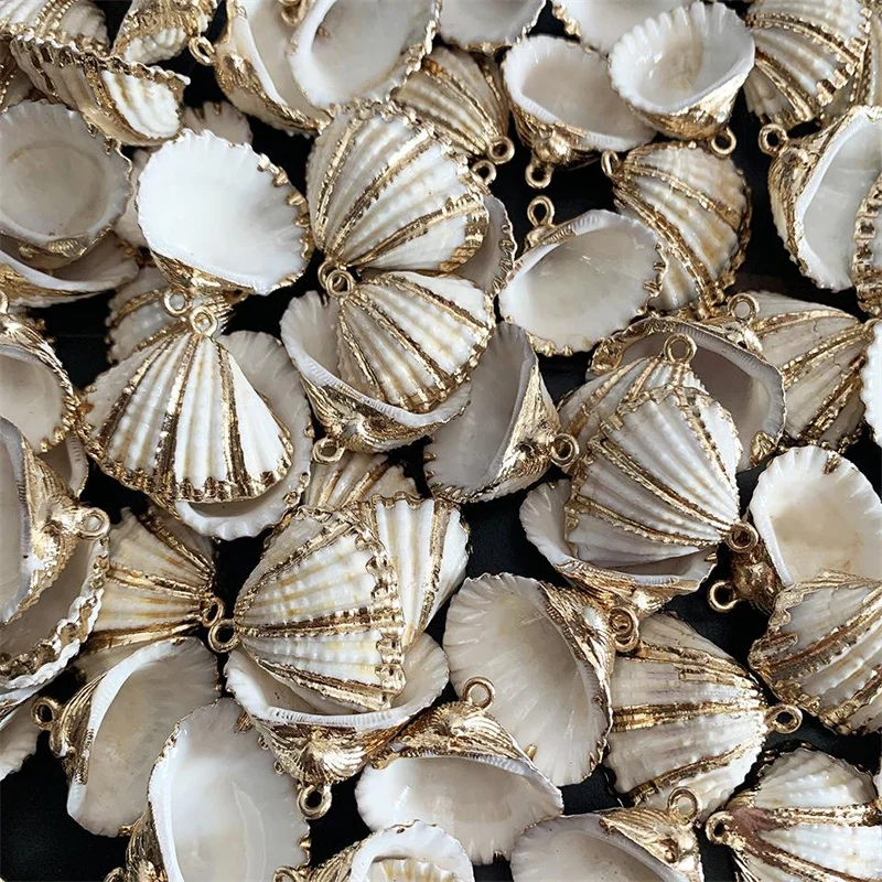 

Electroplated Gold Edge Conch Shell, Conch Shell, Mixed Package, Home Pendant, Natural Beige White Seashells, 2-3cm, 2pcs/lot