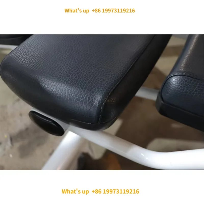 2026 Bodybuilding Gym Equipment Abdominal Crunch Bench Back Extension Commercial Abs Machine