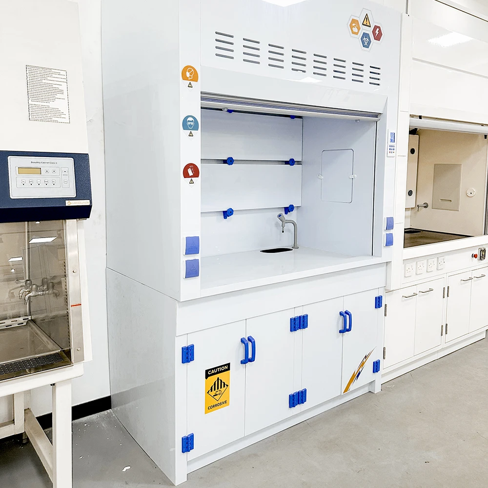 Acid Resistant Chemical Fume Cupboards PP Fume Hoods Industrial Custom Size Fume Cabinets For Cleanroom School Hospital Lab