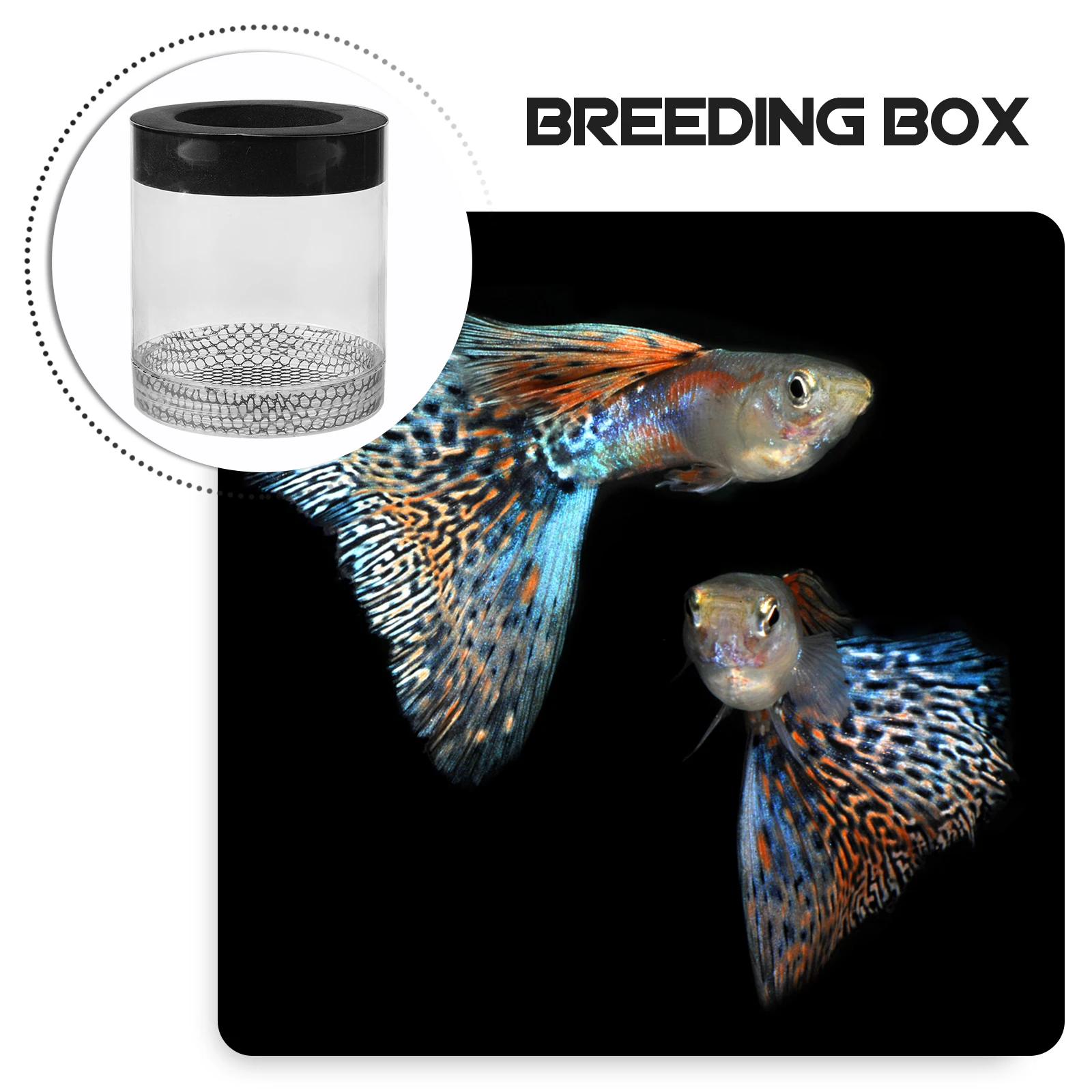 

Guppy Breeding Box Floating Fish Tank Hatching Container Aquarium Isolation Nursery For Pregnant Fish Fry Survival Rate