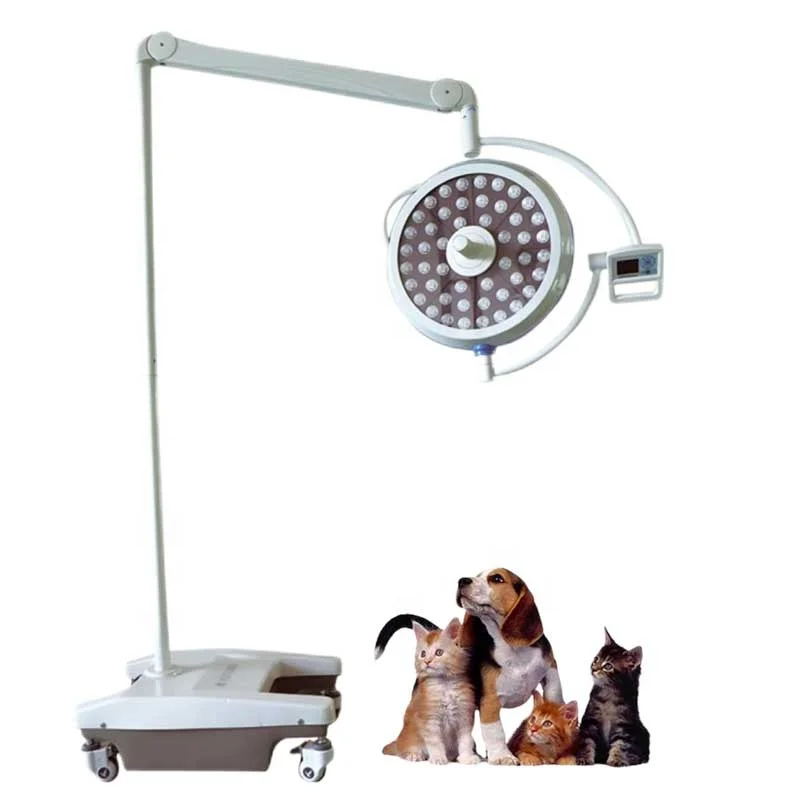 Dawei High Quality Factory Veterinary Shadowless Lamp Clinic Operation Cheap Portable Led Exam Light