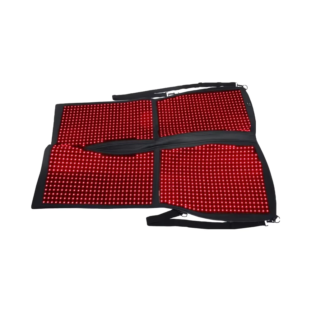 

Veterinary Instrument for Horse Care Red Light Therapy Equipment Essential Horse Back Accessories