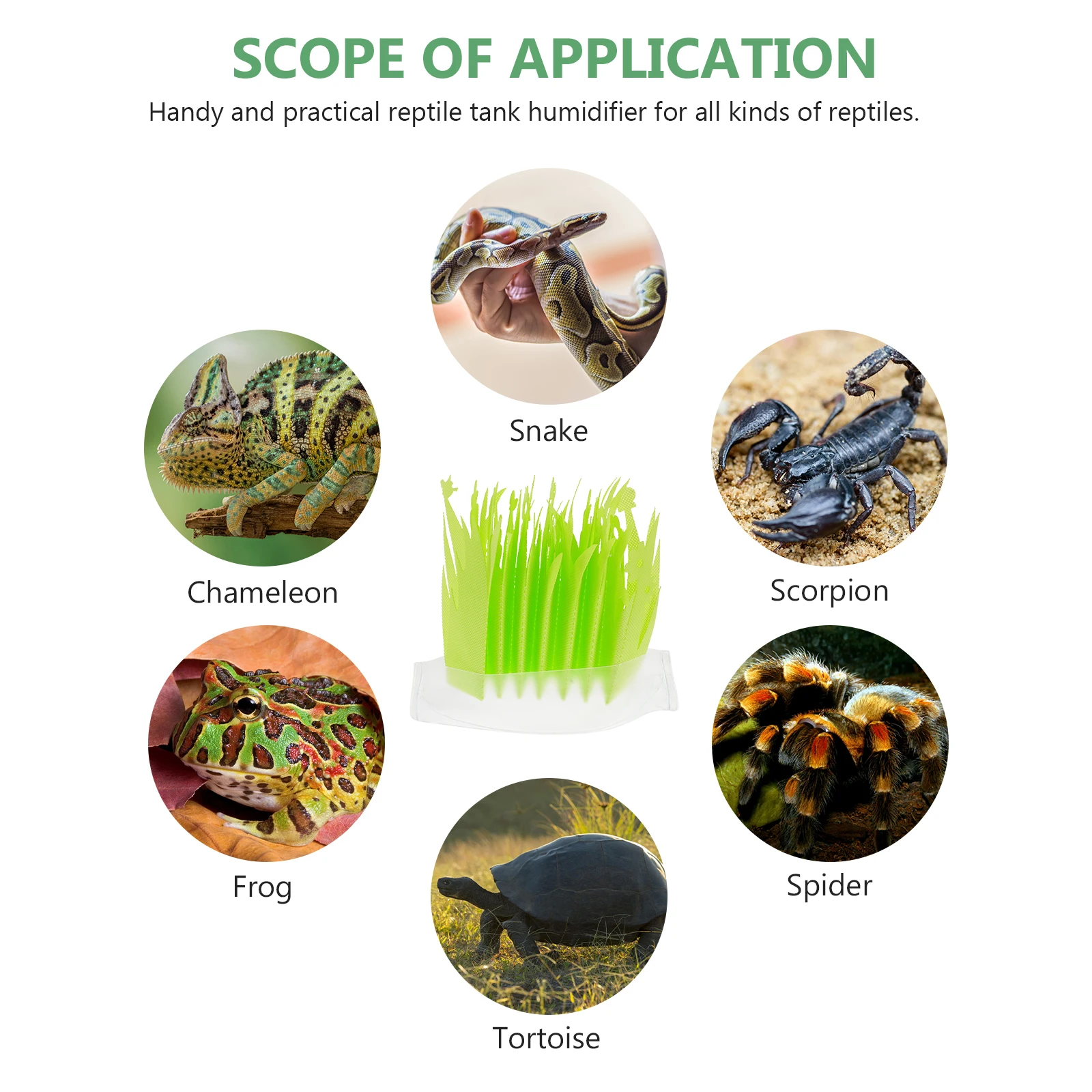 

2pcs Reptile Humidifiers High Humidity Terrarium Decor Small Glass Reptiles Green PVC Faux Plant Insect Tank Accessories Pet