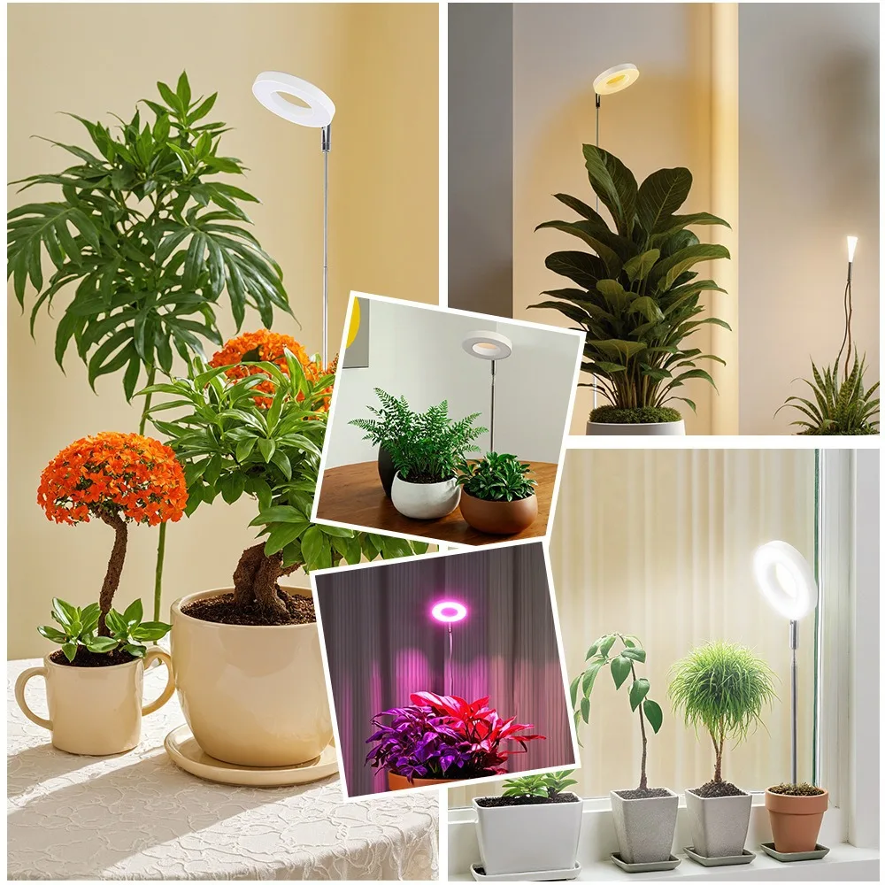 Angel Ring Succulent Red Blue Light Full Spectrum Plant Growth LED Light Adjustable Indoor Plant Lamp for Flowering