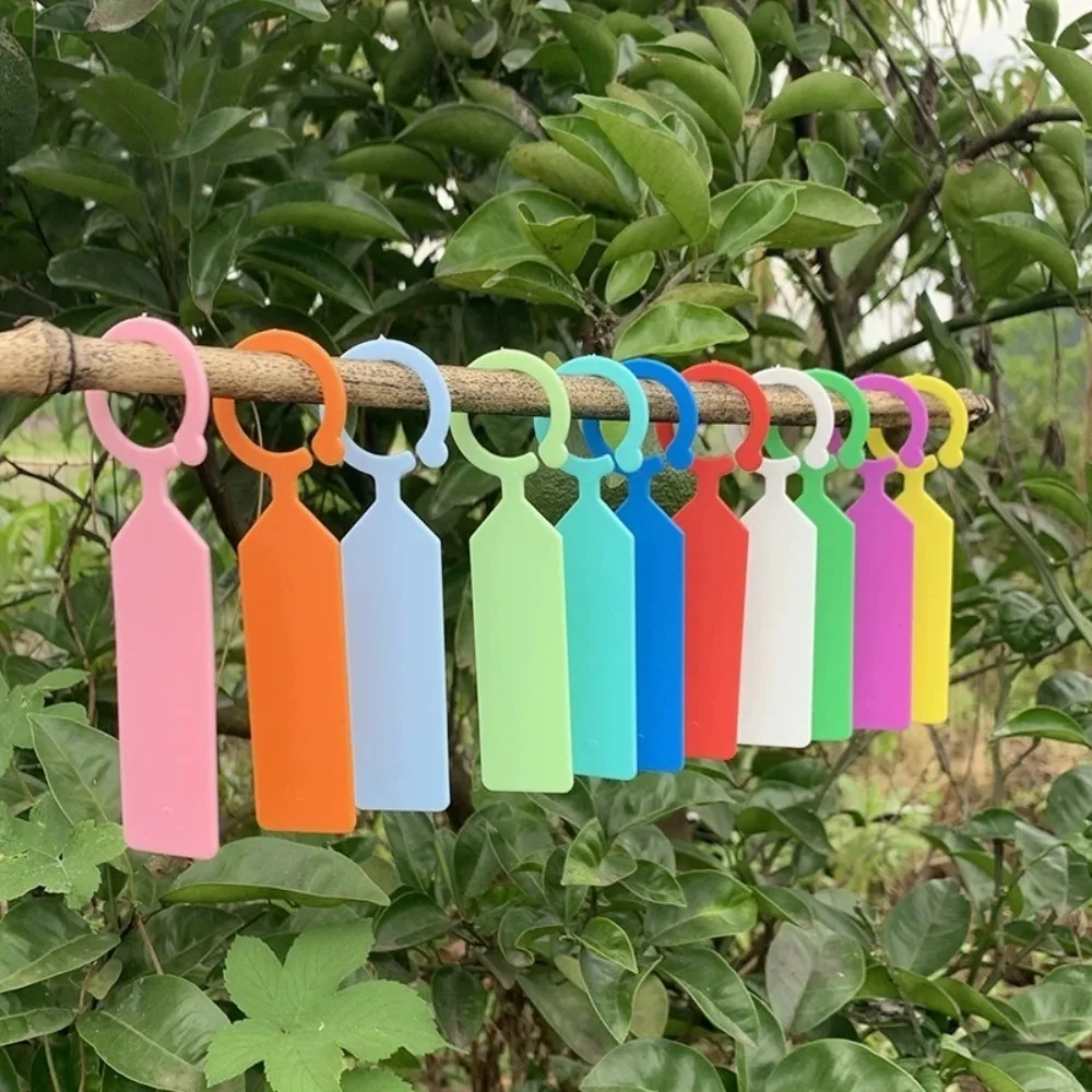 50pcs Fruit Tree Hanging Waterproof Plastic Labels Gardening Plant Labels Greenhouse Bonsai Markers Supplies Grape Tags Buckle