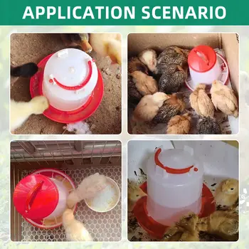 10 best sales שתיין עוף - №9