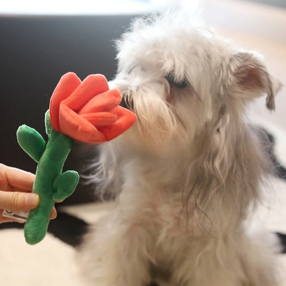 Dog Toys Compared To Bears Small Medium Sized Cats Dogs Accompany Plush Valentine's Day Roses BB Sound Toys New Year Present